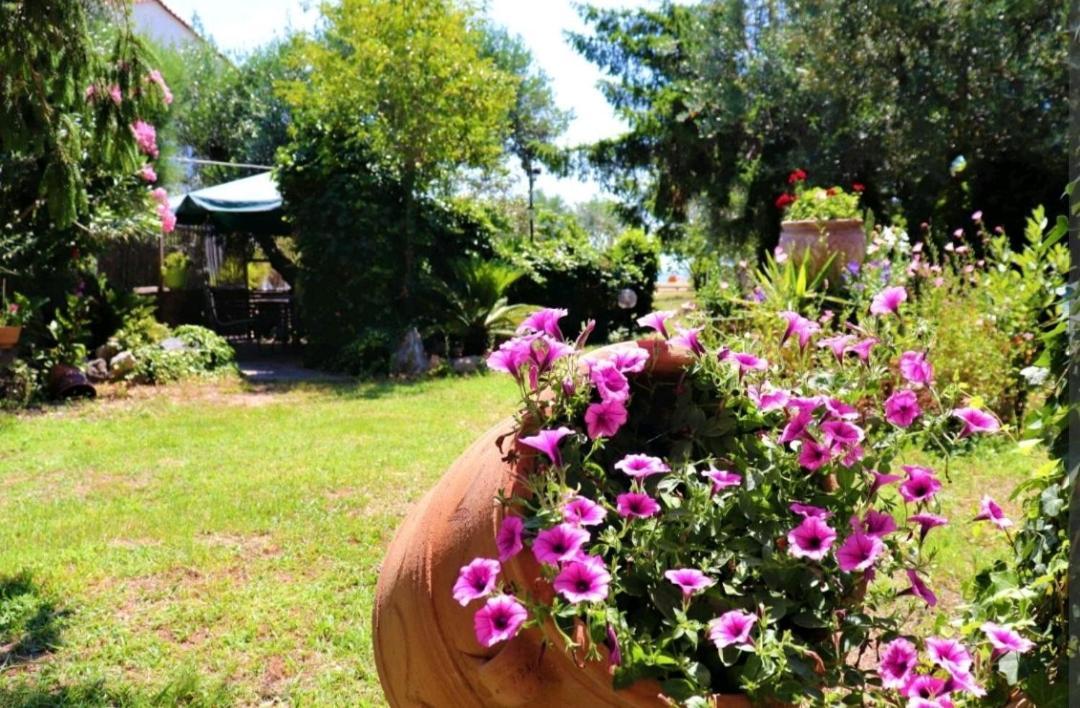 House By The Sea 2 Apartment Nea Iraklitsa ภายนอก รูปภาพ